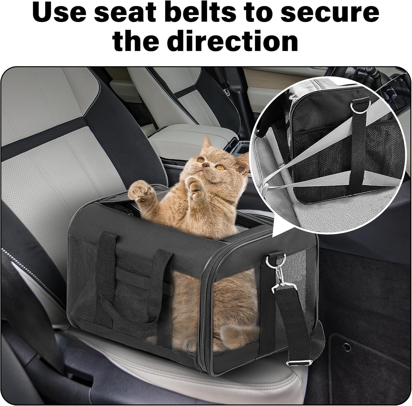 Soft-Sided Portable Pet Travel Carrier for Cats and Small Dogs, Up to 17 lbs, Collapsible and Airline Approved (Medium)