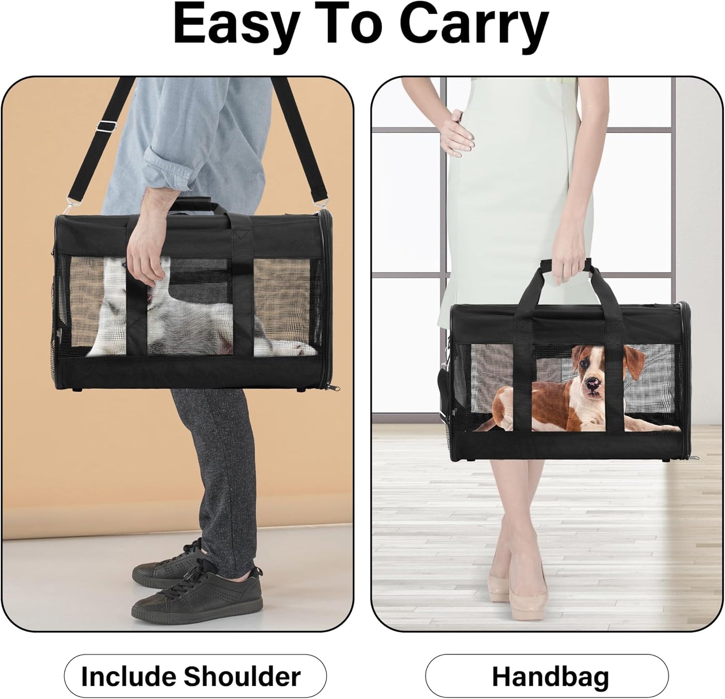 Soft-Sided Portable Pet Travel Carrier for Cats and Small Dogs, Up to 17 lbs, Collapsible and Airline Approved (Medium)