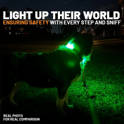 LED Dog Collar with Airtag Holder: Rechargeable, Waterproof, Adjustable, Soft, Reflective