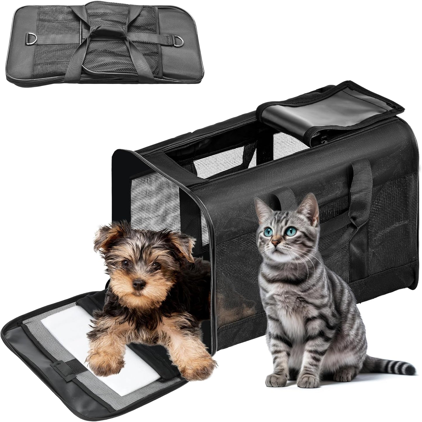 Soft-Sided Portable Pet Travel Carrier for Cats and Small Dogs, Up to 17 lbs, Collapsible and Airline Approved (Medium)