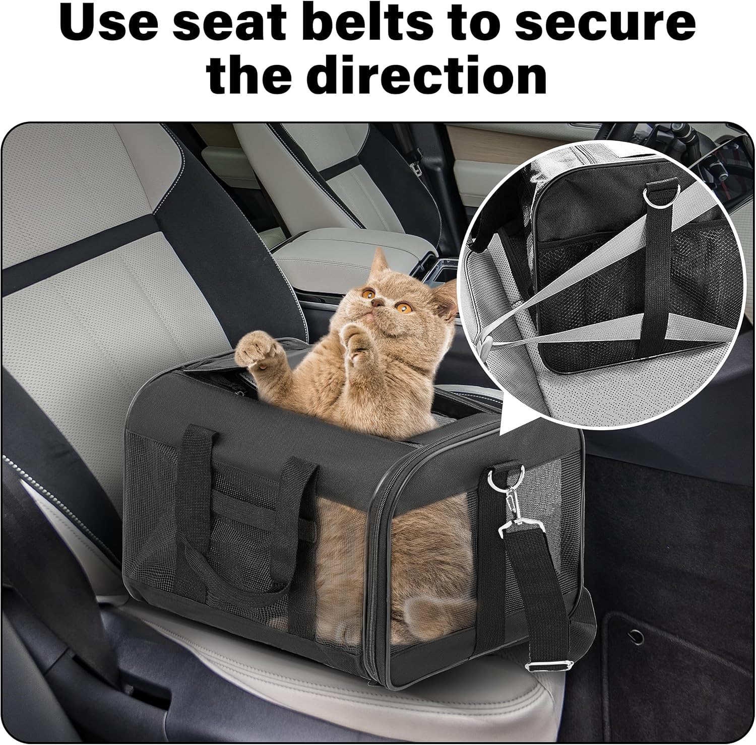 Soft-Sided Portable Pet Travel Carrier for Cats and Small Dogs, Up to 17 lbs, Collapsible and Airline Approved (Medium)