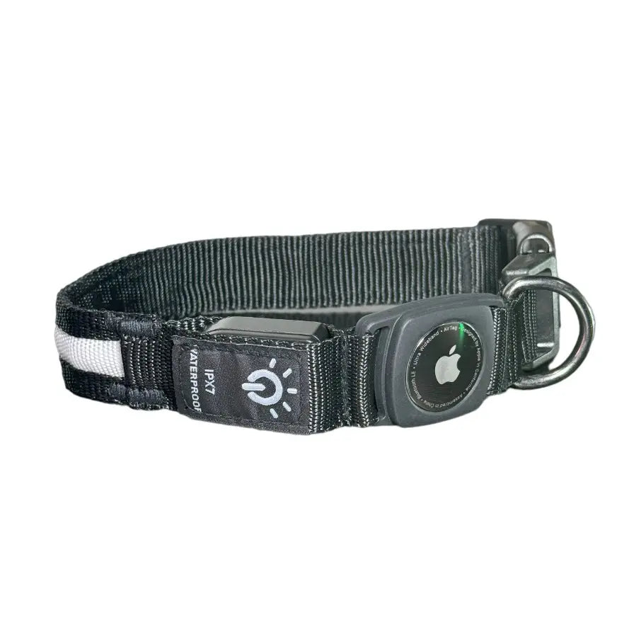LED Dog Collar with Airtag Holder: Rechargeable, Waterproof, Adjustable, Soft, Reflective